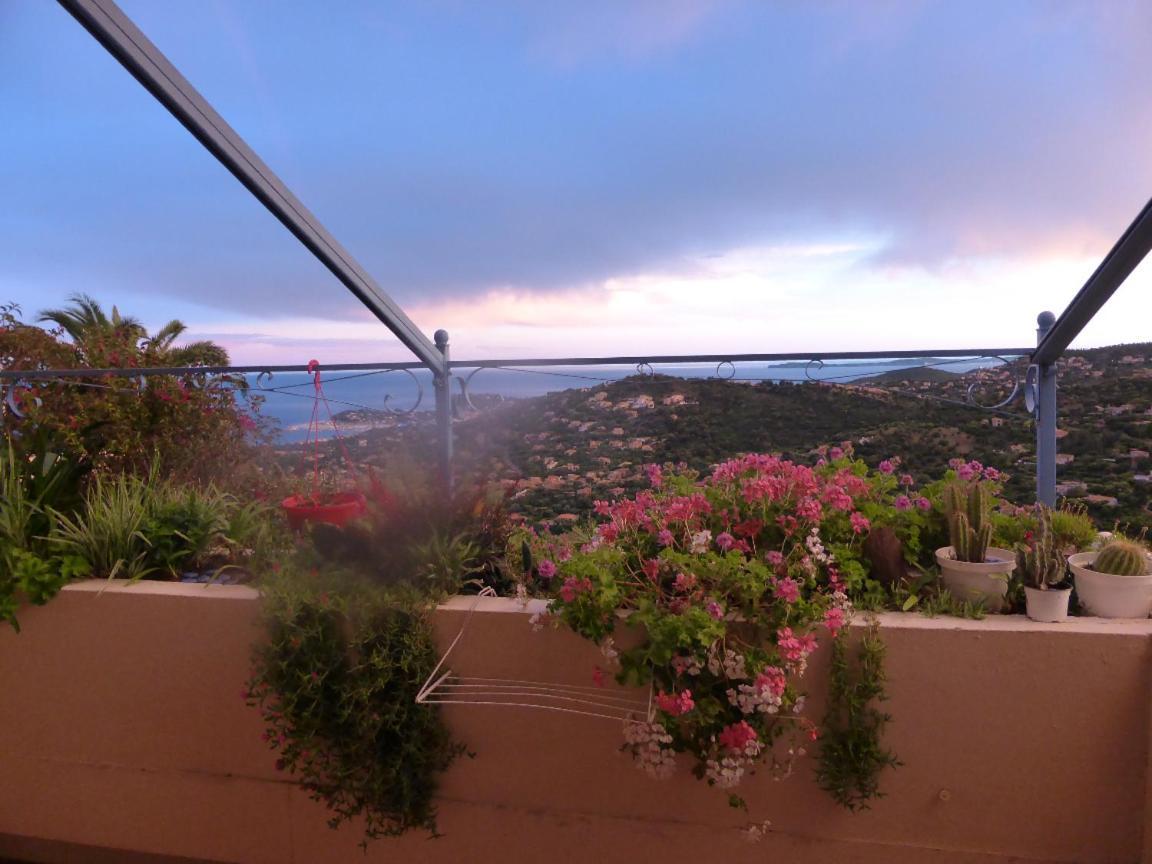 קבלייר-סור-מר Nouveau ! Chambre D'Hote Insolite Privee " Coeurs De Pirates A Bali En Provence" Spa Sauna Massages Dans Cadre Exotique D'Amenagements Exterieurs D'Exception Ete Comme Hiver Bienvenue !!! מראה חיצוני תמונה