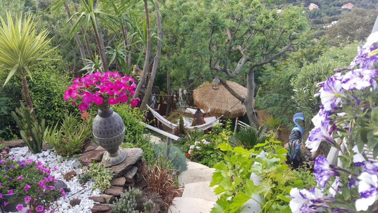 קבלייר-סור-מר Nouveau ! Chambre D'Hote Insolite Privee " Coeurs De Pirates A Bali En Provence" Spa Sauna Massages Dans Cadre Exotique D'Amenagements Exterieurs D'Exception Ete Comme Hiver Bienvenue !!! מראה חיצוני תמונה