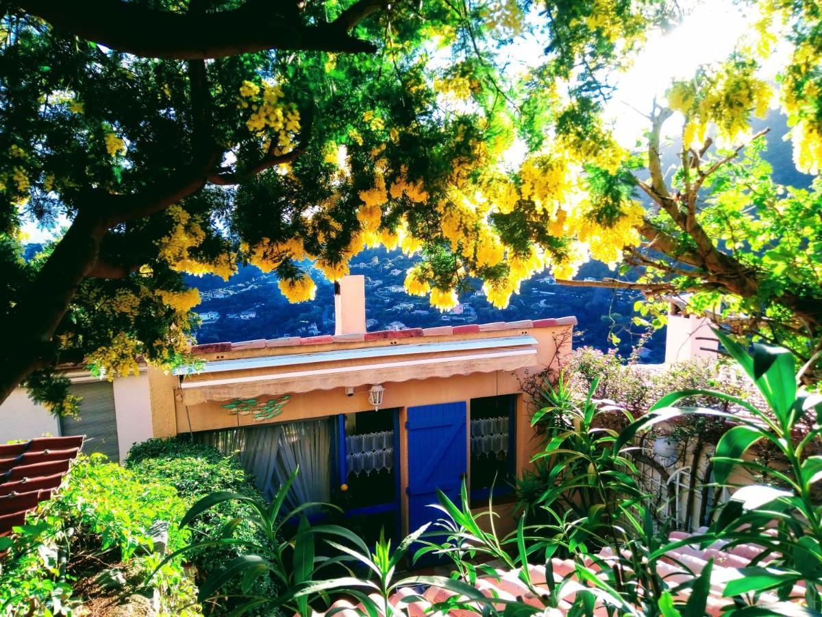 קבלייר-סור-מר Nouveau ! Chambre D'Hote Insolite Privee " Coeurs De Pirates A Bali En Provence" Spa Sauna Massages Dans Cadre Exotique D'Amenagements Exterieurs D'Exception Ete Comme Hiver Bienvenue !!! מראה חיצוני תמונה